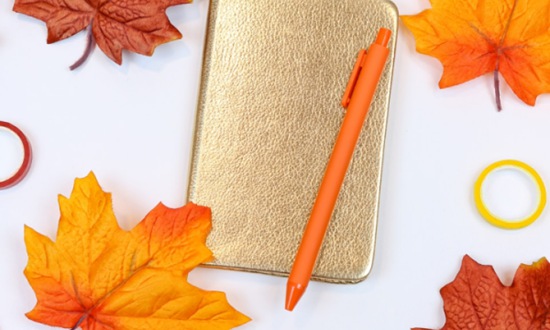 礼县职业中等专业学校2026年招生简介