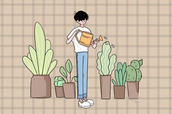 礼县职业中等专业学校2026年报名指南