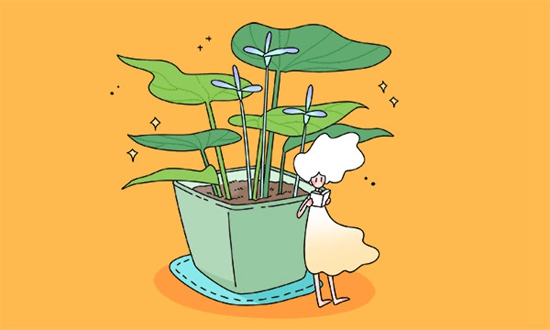 湖南怀化靖州县职业中等职业学校2026年招生简介